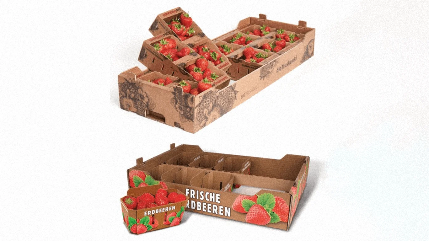 Vegetable, fruits, Abaca do boxes 
